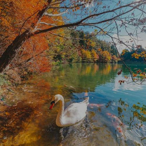 محمد رجایی حلالت این بغضای نا شکسته حلالت این غرور پینه بسته